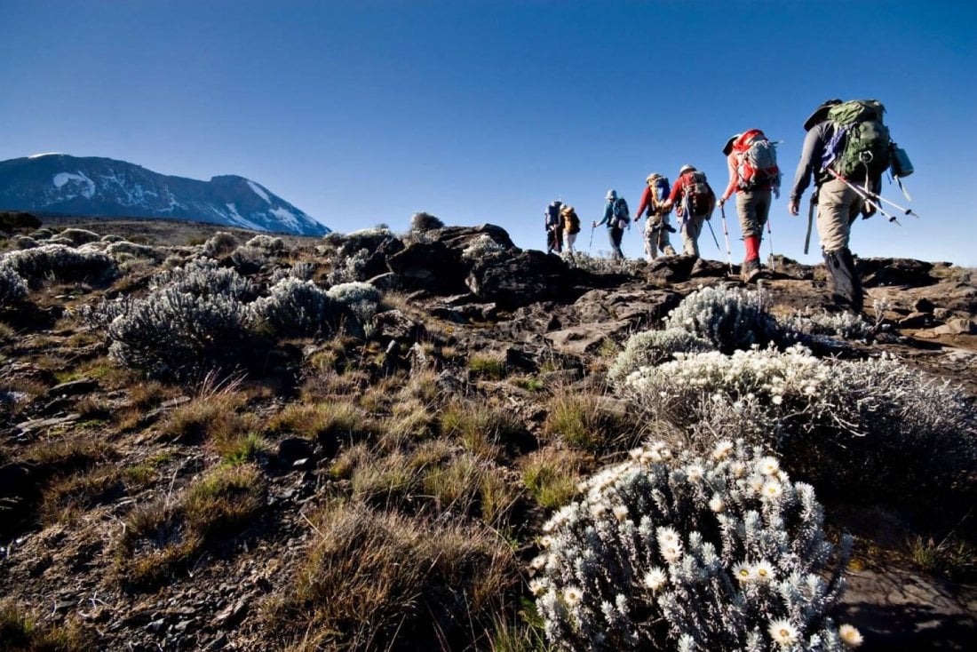 Kilimanjaro Grand Expedition – Umbwe Route