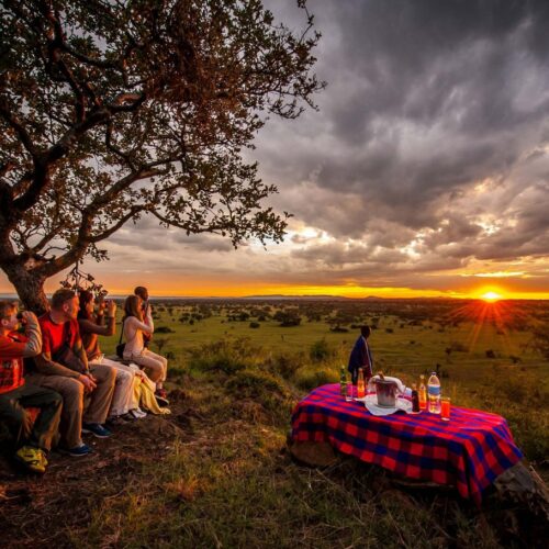 Tanzania Family Safari Adventure