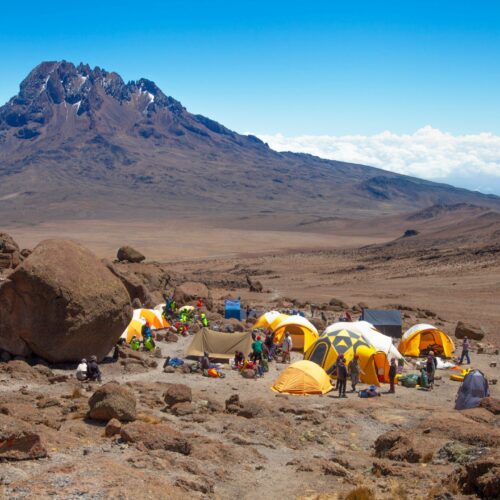 Kilimanjaro Wilderness Challenge – Rongai Route