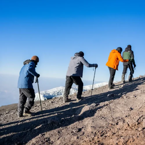Kilimanjaro Ultimate Summit – Northern Circuit Route