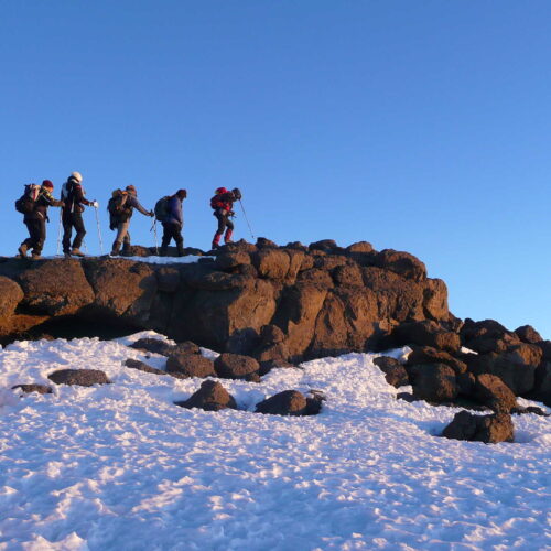 Roof of Africa Expedition – Lemosho Route